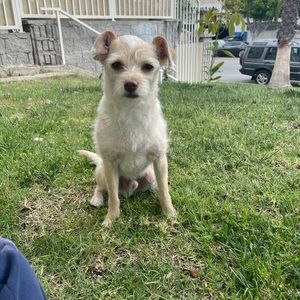 Meet your Posher, Meg